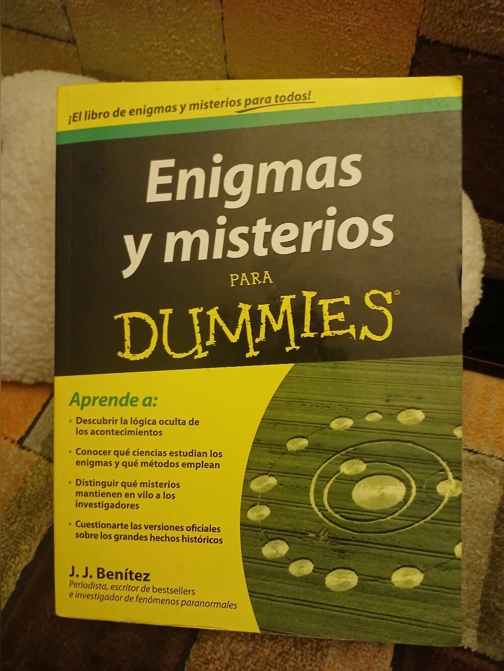 Enigmas y misterios para Dummies Book